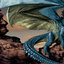 dragons