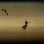 sea-and-air