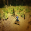 the-hunter-hunted