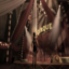 this-circus-is-a-disaster