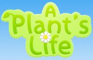 A Plant's Life