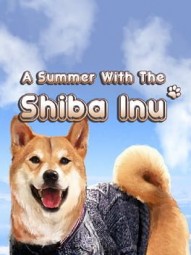 A Summer with the Shiba Inu
