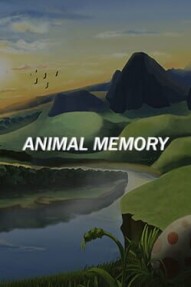 Animal Memory