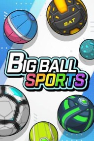 Big Ball Sports