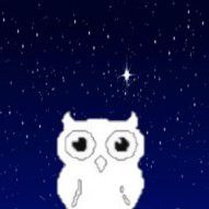 Block Owl