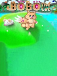 Bobo the Cat