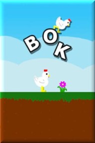 Bok