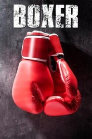 Boxer