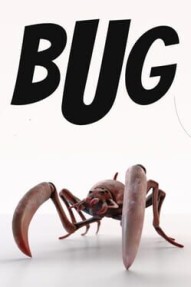 Bug