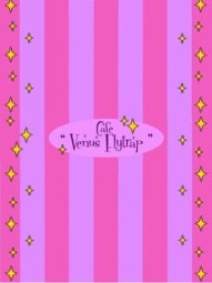 Cafe Venus Flytrap