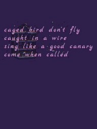 caged bird don't fly caught in a wire sing like a good canary come when called