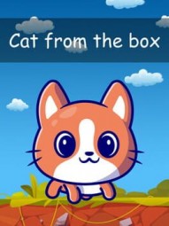 Cat from the Box