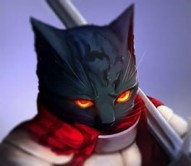 Cat Knights