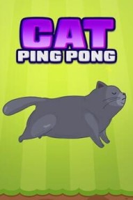 Cat Ping Pong