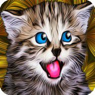 Catistry