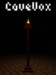 CaveVox