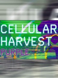 Cellular Harvest: Purple