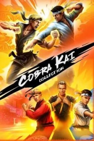 Cobra Kai Collection