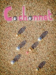 Cochonnet