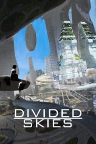 Divided Skies