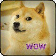 Doge Jump