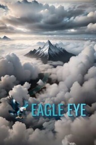 Eagle Eye: Find the Difference