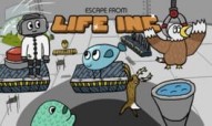 Escape from Life Inc