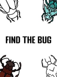 Find the Bug