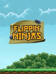Flippin Ninjas