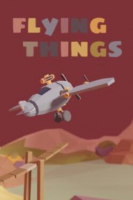 Flying Things