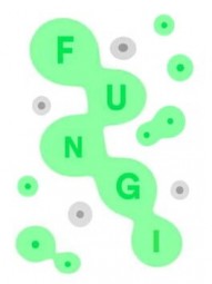 FUNGI