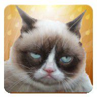 Grumpy Cat: Unimpressed