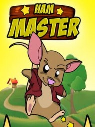 HAM-MASTER