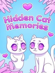 Hidden Cat Memories