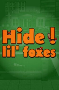 Hidden Foxes