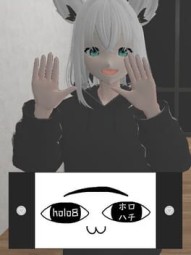Holo8