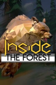 Inside the Forest