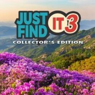 Just Find It 3: Collector's Edition