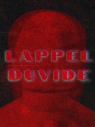 Lappelduvide