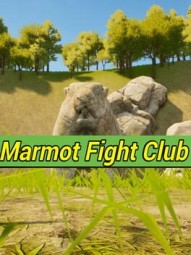 Marmot Fight Club