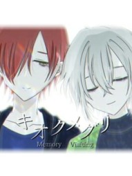 Memory Visiting