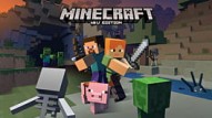 Minecraft: Wii U Edition