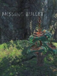 Missing Bullet