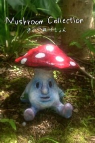 Mushroom Collection