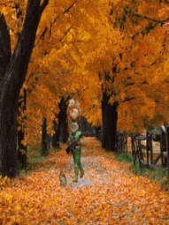 NaNoCollabMo: Autumn Harvest
