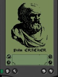 Palm Cracker