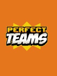 Perfect Teams
