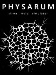 Physarum: Slime Mold Simulator