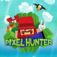 Pixel Hunter