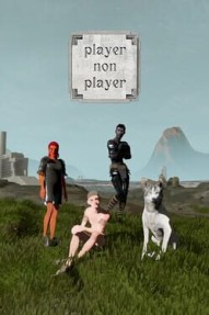 Player Non Player